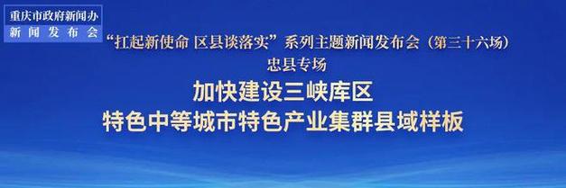 重庆忠县贷款平台：专业、灵活、安全的贷款解决方案！(重庆忠县百科)